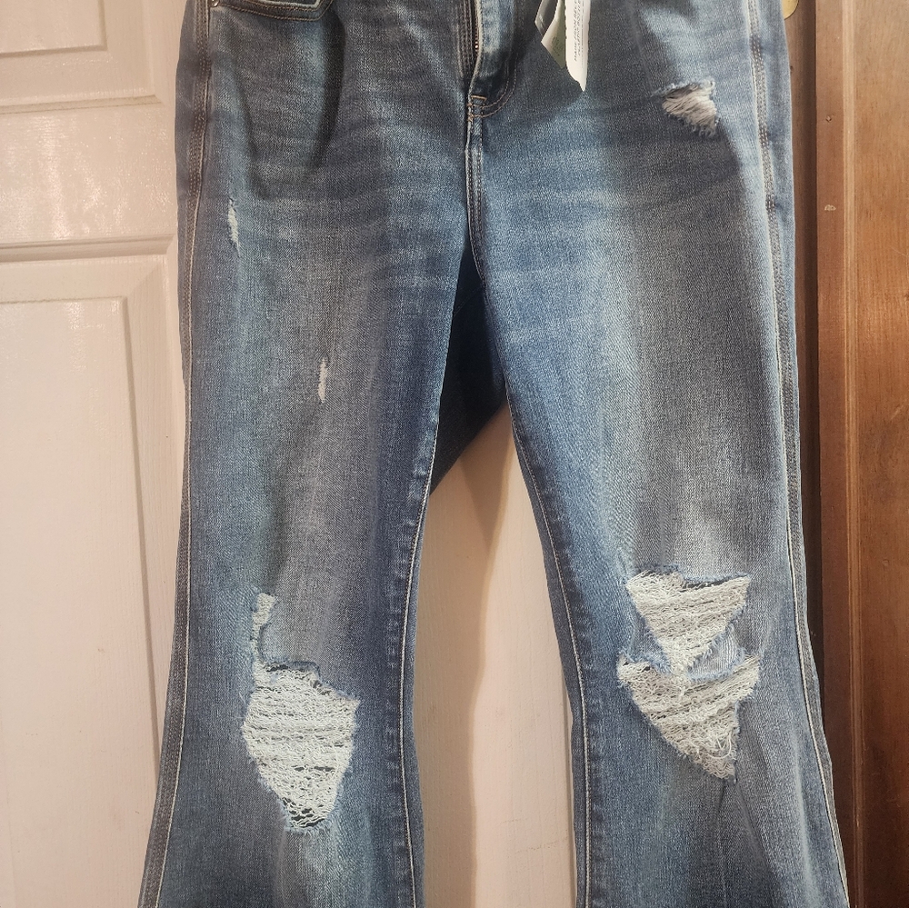 Lane bryant jeans